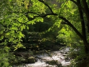IMG 20220214 WA0007