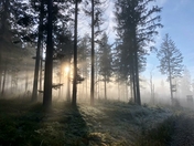 IMG 20220214 WA0016